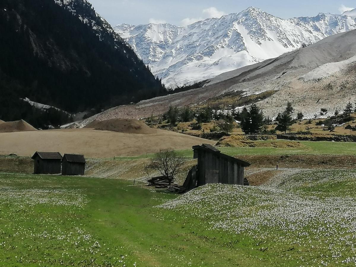 Haus Larcher Apartment Sankt Leonhard im Pitztal